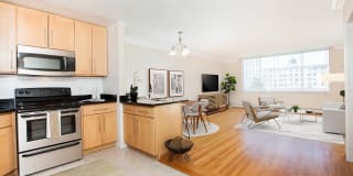 The Terraces Gallery 3