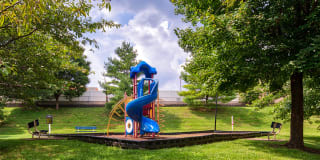 Dunfield Apartments & Townhomes Gallery 31