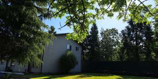 Island Park Gallery 13