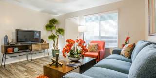 Agave Apartments Gallery 4