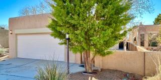 NE HEIGHTS Gallery 1