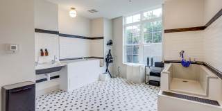 The Prospect Gallery 17