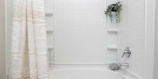 The Aster Gallery 19