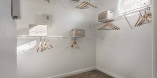 The Windsor Gallery 25