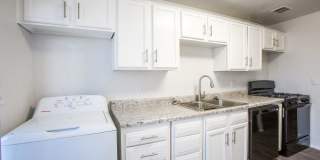 Icon on Stella Gallery 3