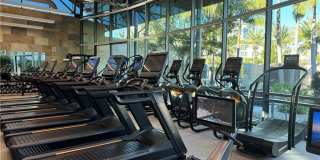 81 Waldorf Gallery 34