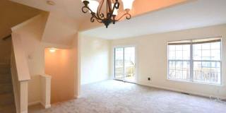 45541 CLEAR SPRING Terrace Gallery 3