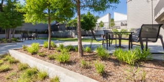 Biltmore Biltmore Gallery 68