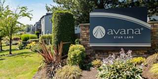 Avana Star Lake Gallery 99