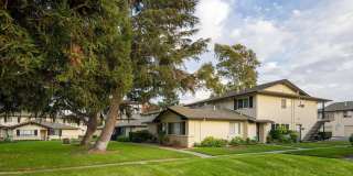 1033 Mohr Ln Gallery 19