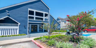 Willow Springs Gallery 27