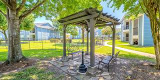 College View Apartments Gallery 41