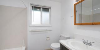 Cottage Lane Gallery 18