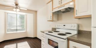 Park Avenue Village Apartments Gallery 15