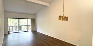 Spacious 2Bed/2Bath Condo for Rent!! Sarasota Gallery 8
