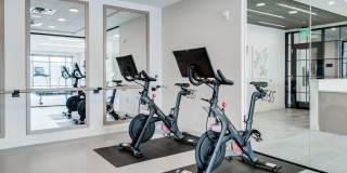 Nolan Mains Gallery 16