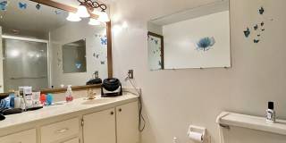 420 N Bayshore Blvd Apt 102 Gallery 16