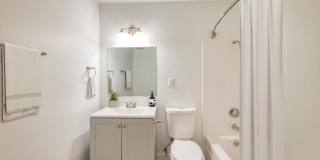 The Harlow Gallery 10