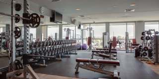 Fully Furnished Studio Condo at The Adelicia Gallery 31