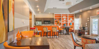 Nova Chapel Hill Gallery 17