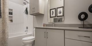 Citron at the Packing District Gallery 19