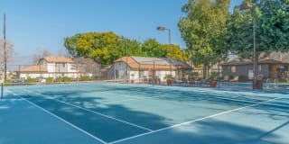 Citrus Grove Apartments Gallery 15