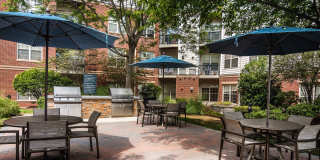 Aven at Newton Highlands Gallery 5