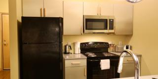 Settlement Place Gallery 467