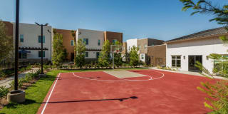 Terrano Gallery 9