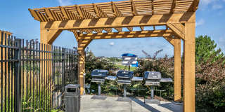 Lumen Heights Gallery 23