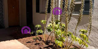 1411 Creekside Drive Gallery 3