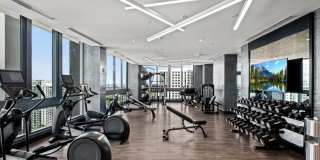 Veneto Las Olas Gallery 33