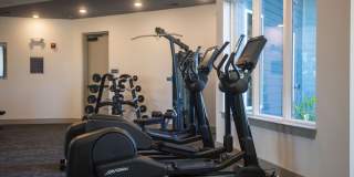 Solis Gainesville Gallery 33