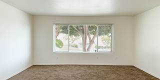 Calla Avenue Apartments Gallery 8