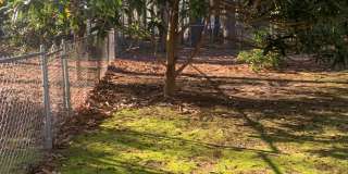 NORTH HILLS CHARMER--2 STORY--DOWNSTAIRS BEDROOM/OFFICE--FORMAL AREAS-LAUNDRY/MUD AREA-CARPORT Gallery 33