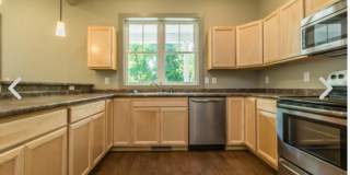 HUGE newly built 4 bed / 4.5 bath townhouse! Gallery 4