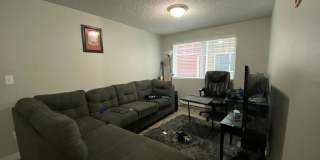 Westwood Apartments Gallery 165