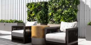 Madison West Elm Gallery 18