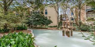 Chestnut Creek Gallery 21