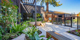 Peartree Apartments Gallery 23