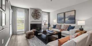 The Austin Gallery 10