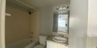 Westwood Apartments Gallery 271