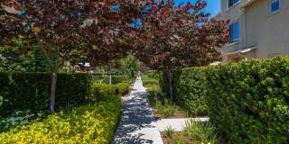 Ocean, #104 Gallery 29