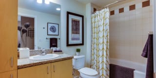 The Matisse Gallery 10