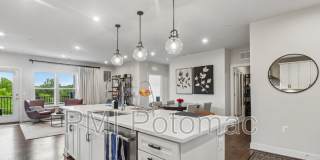 3503 Bellflower Lane Gallery 24