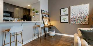 The Cosmopolitan Gallery 13