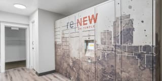 ReNew on Temple ReNew on Temple Gallery 28