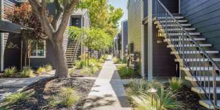 Trails at 2112 Gallery 23