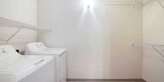 Thrive Argenta Gallery 67