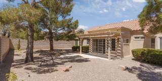 Renovated home in 55+Sun City Summerlin Gallery 24